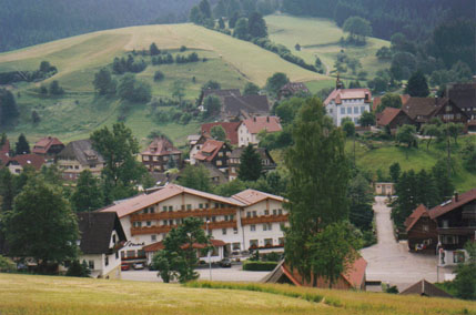 A Village in the Black Forest